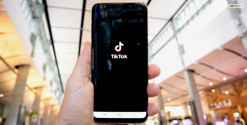 The 3 Best TikTok Watermark Remover Tools That You Should Use In 2024