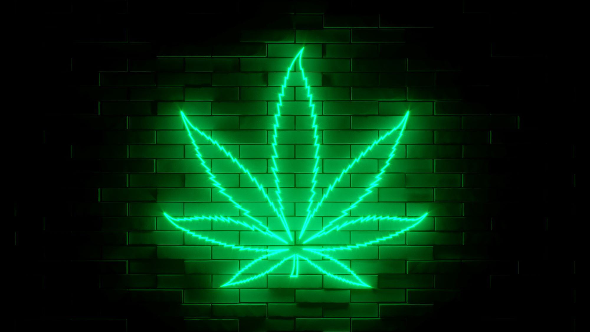 Weed LED Neon Signs: Illuminating Your Space With Style