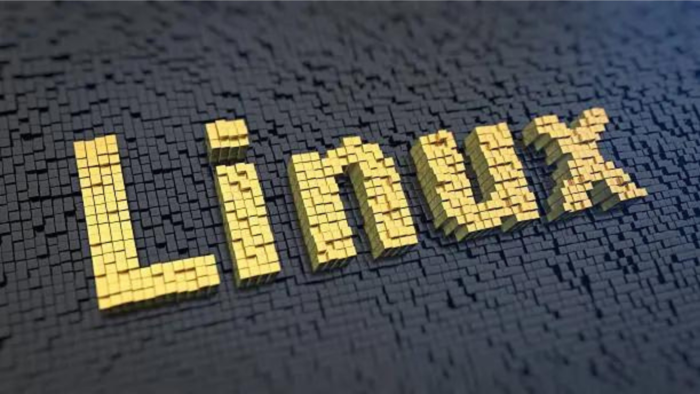 Top 9 Linux Distributions For All Users In 2024   