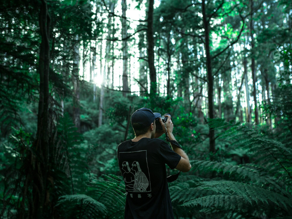 There Are 3 Different Types of Instagram Accounts: Which One is Right for You?