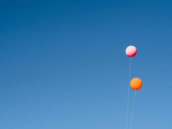 Bluesky Verification is Here: How to Get Your Blue Check